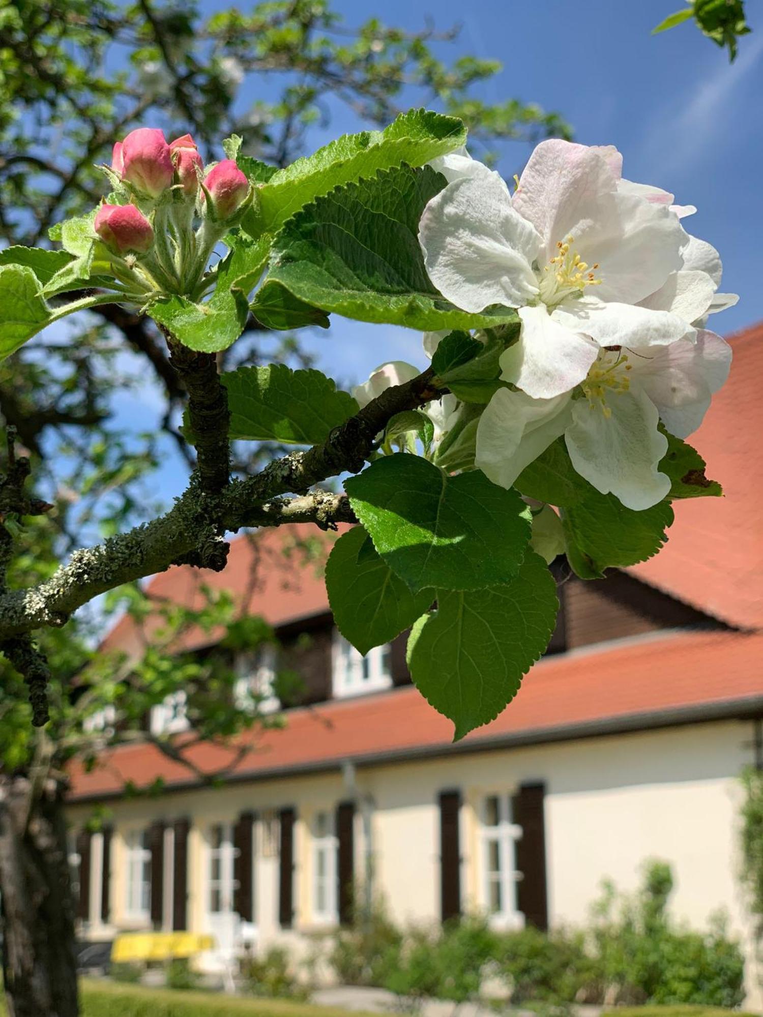 Landhaus Saaleck Naumburg  Buitenkant foto