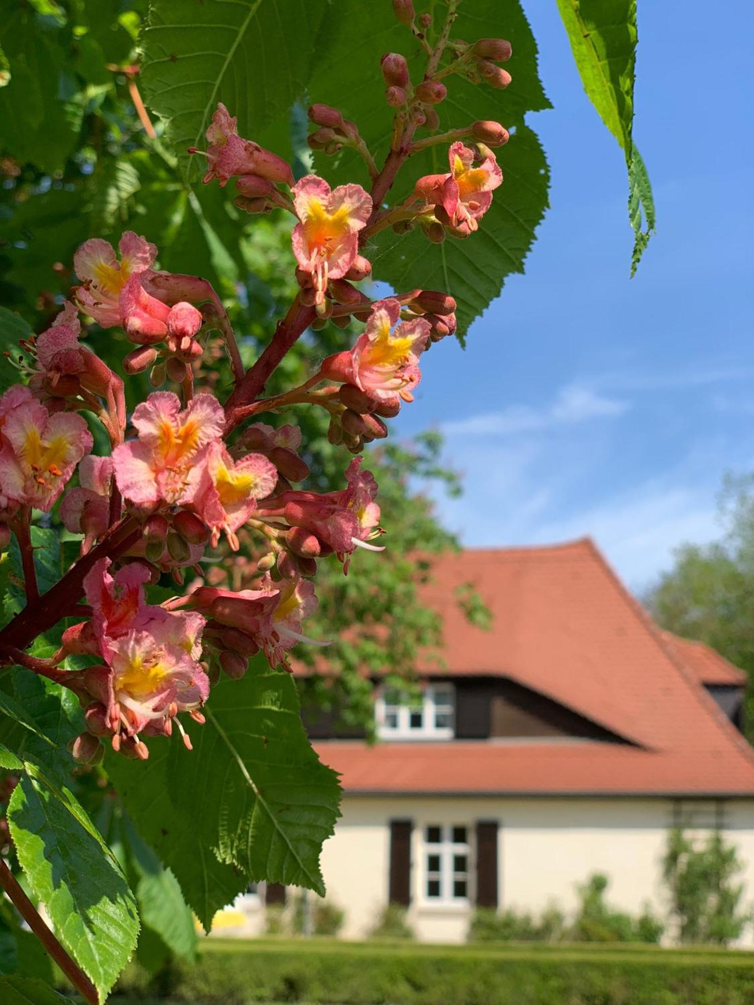 Landhaus Saaleck Naumburg  Buitenkant foto